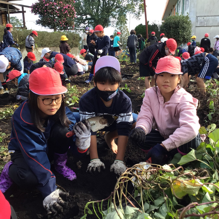 20211113_010236350_ios