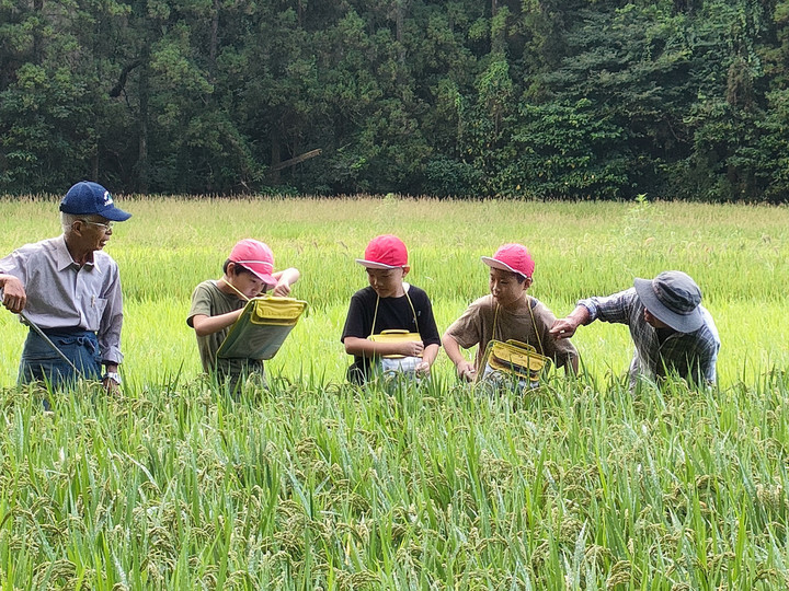 Img20250917091225 Img20250917091225