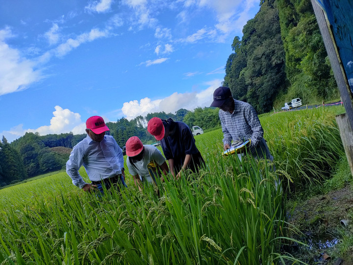 Img20250917091306 Img20250917091306