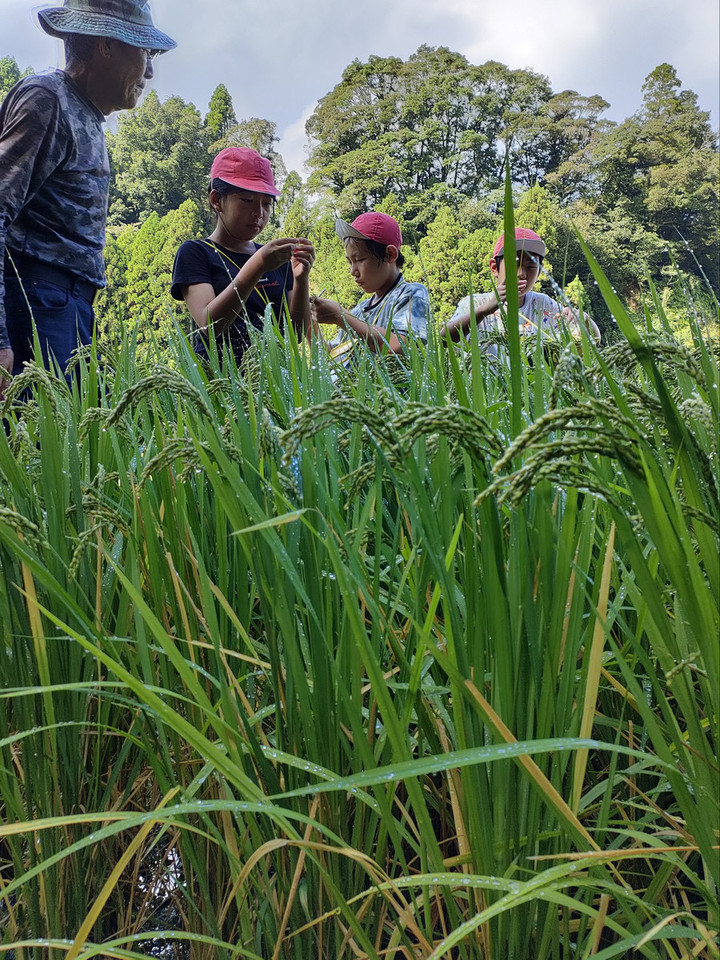 Img20250917091703 Img20250917091703