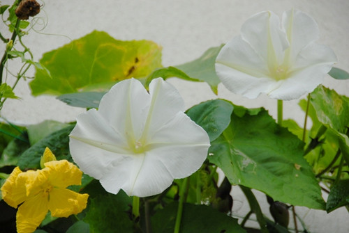 Dsc_0284_s Dsc_0284_s