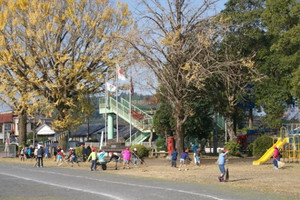 Dsc00973_450x300