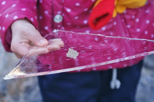 Dsc01202_450x300