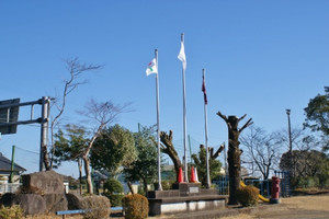 Dsc01261_450x300