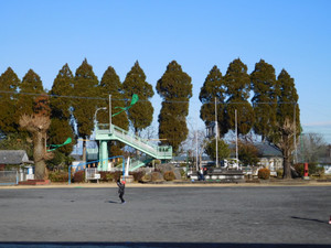 Dscn3650