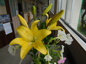 Dscn5176