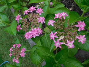 Dscn9469