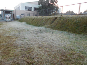 Dscn4443