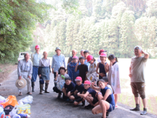 Taue7