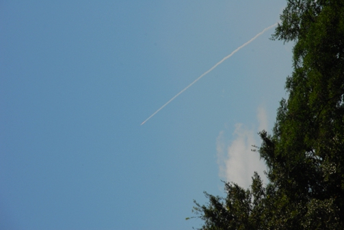 Dsc_0424_s_2
